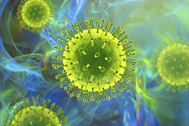 Metapneumovirus