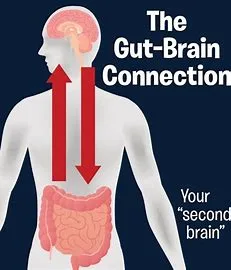 "Unveiling the Gut-Brain Connection for Enhanced Mental Wellbeing"