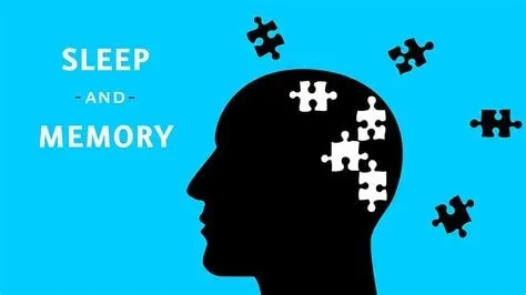 Sleep and Memory