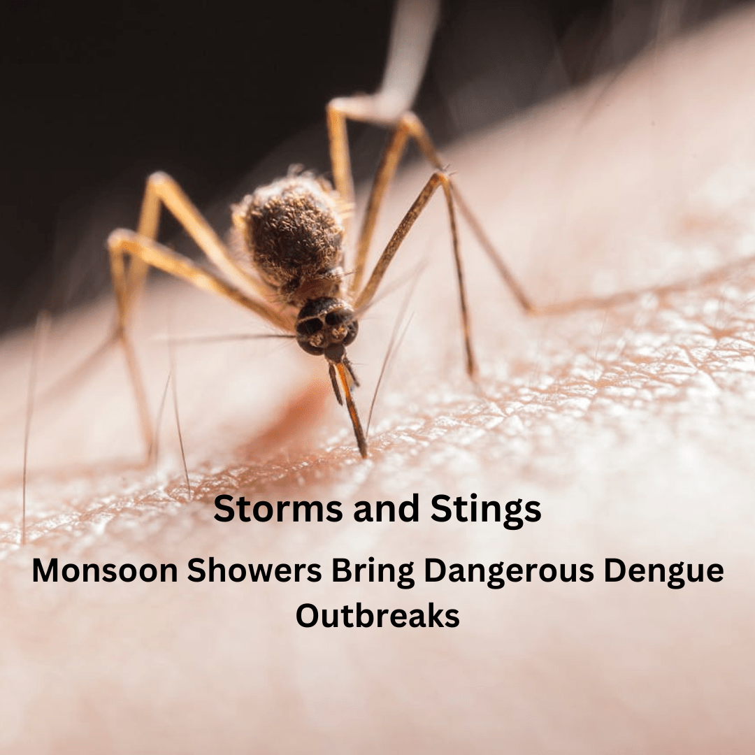 Dengue outbreak during monsoon season